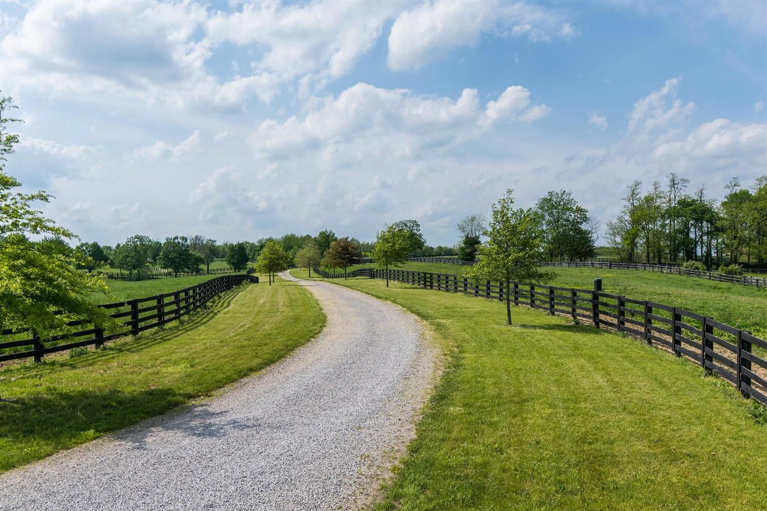 282 Escondida Road Paris, KY 40361 - Photo 20 of 48 Photo 20