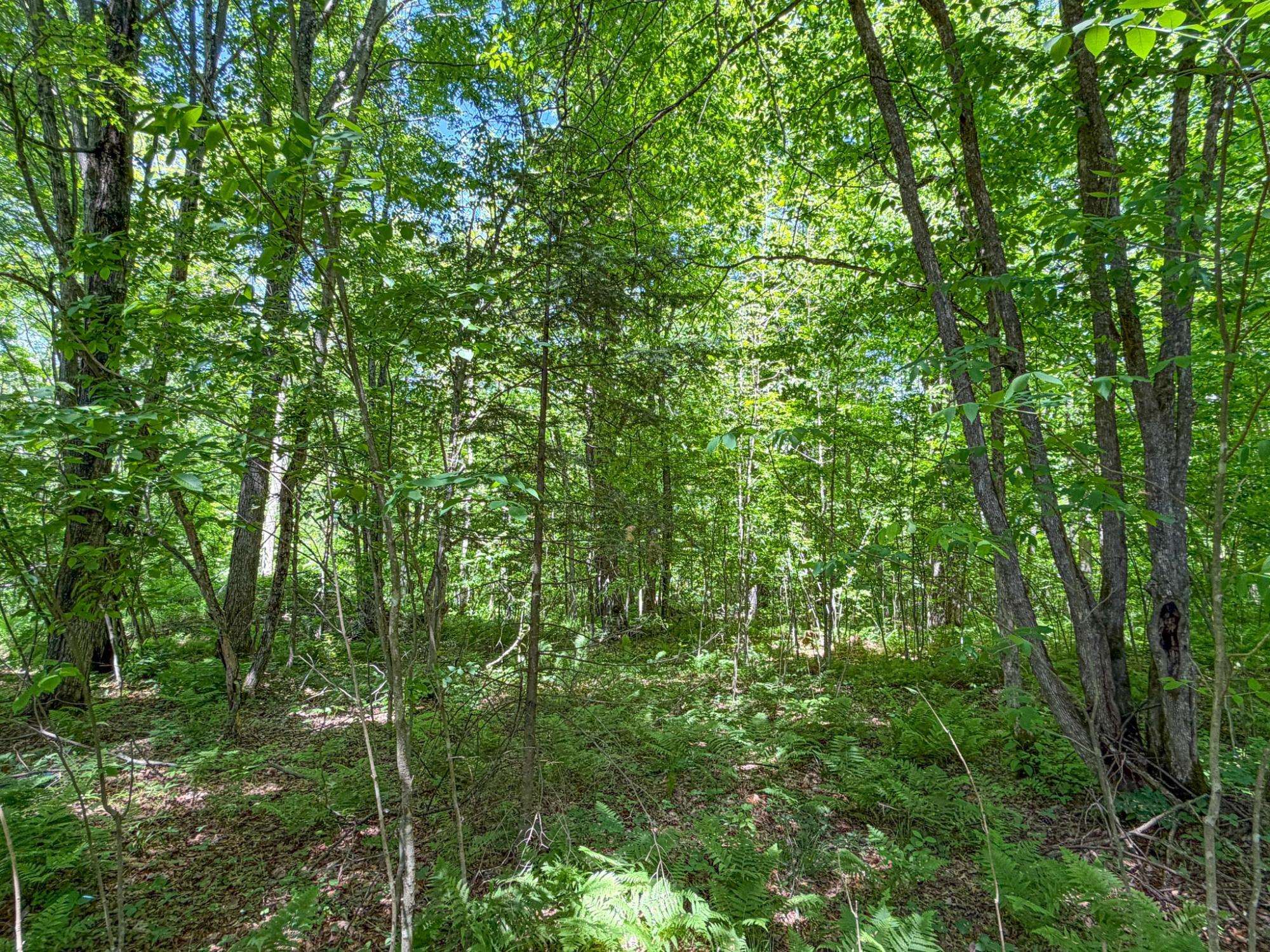 4824 North Lake Winter Road Winter, WI 54896 - Photo 55 of 60