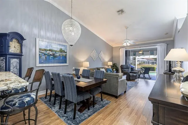 a living room with furniture a rug potted plant and a window