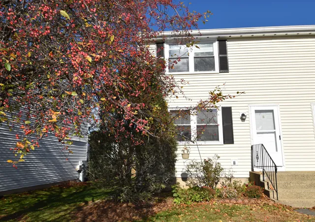 a front view of a house with a tree