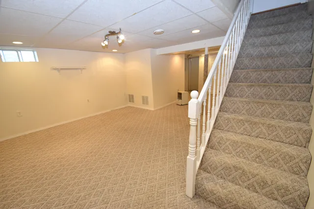 a view of yard with tree