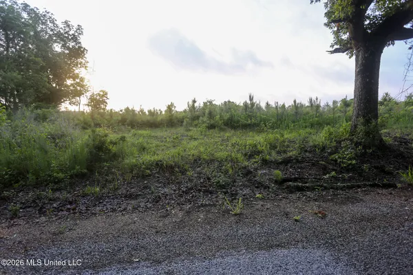 $305,000 | Oak Grove Road, Mendenhall, MS 39114