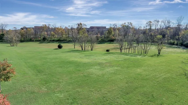 a view of a green field
