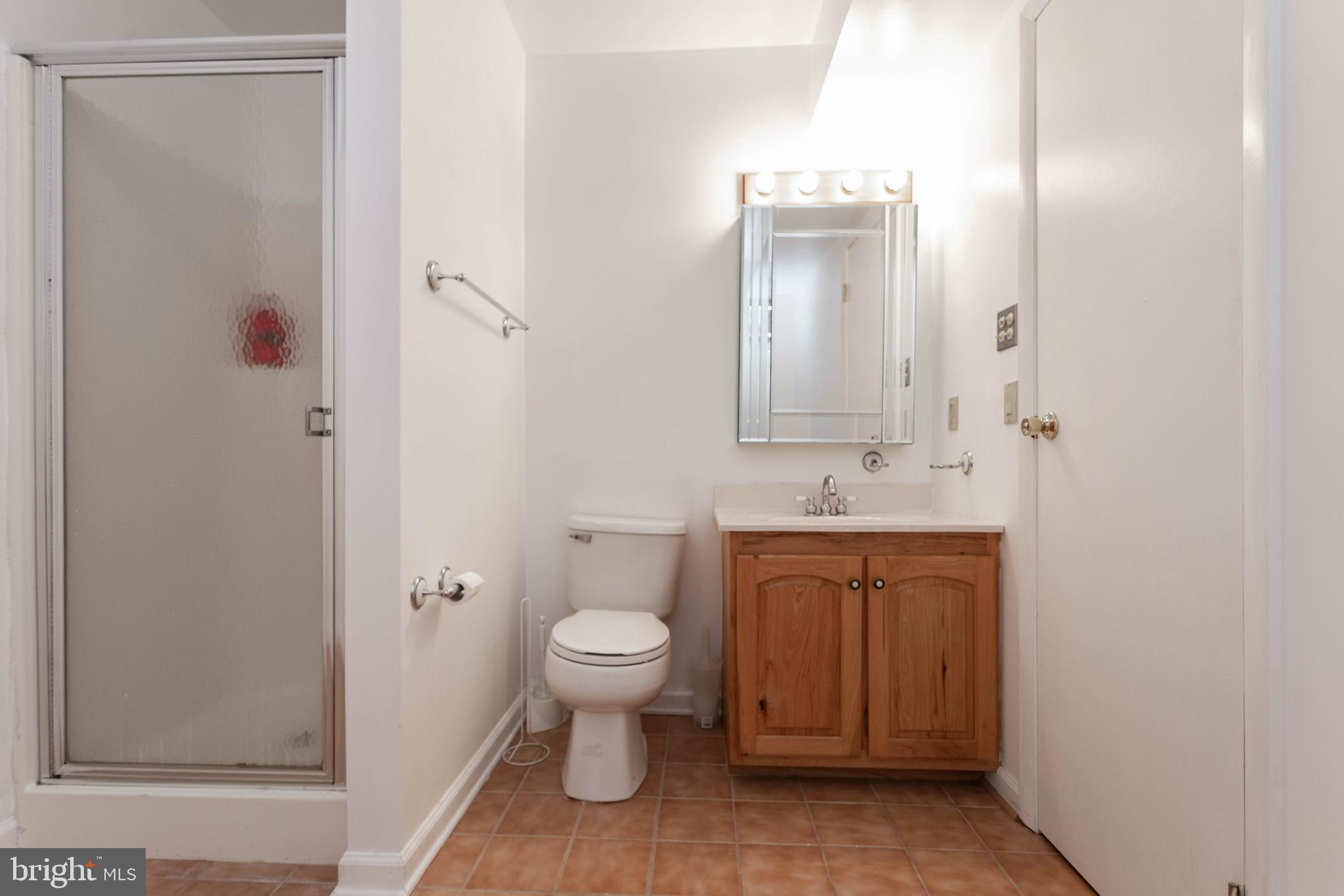 3971 View Top Road Ellicott City, MD 21042 - Photo 26 of 35 3rd Full Bathroom in Basement