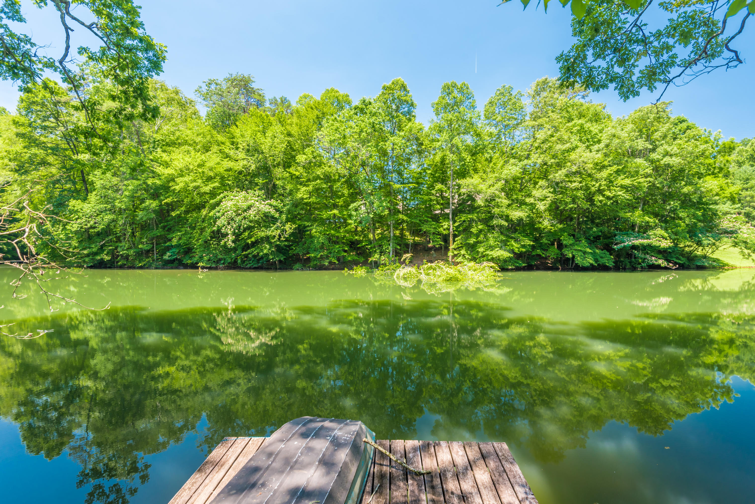 1525 Duncan Road Knoxville, TN 37919 - Photo 3 of 40 1525DuncanRd-16