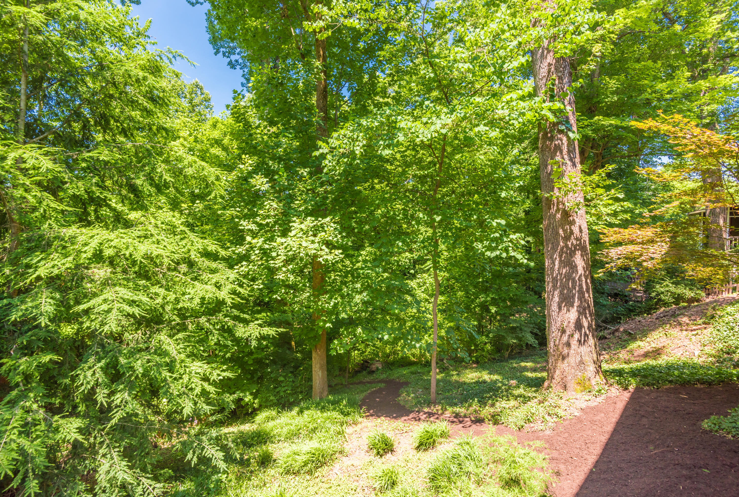 1525 Duncan Road Knoxville, TN 37919 - Photo 39 of 40 1525DuncanRd-11