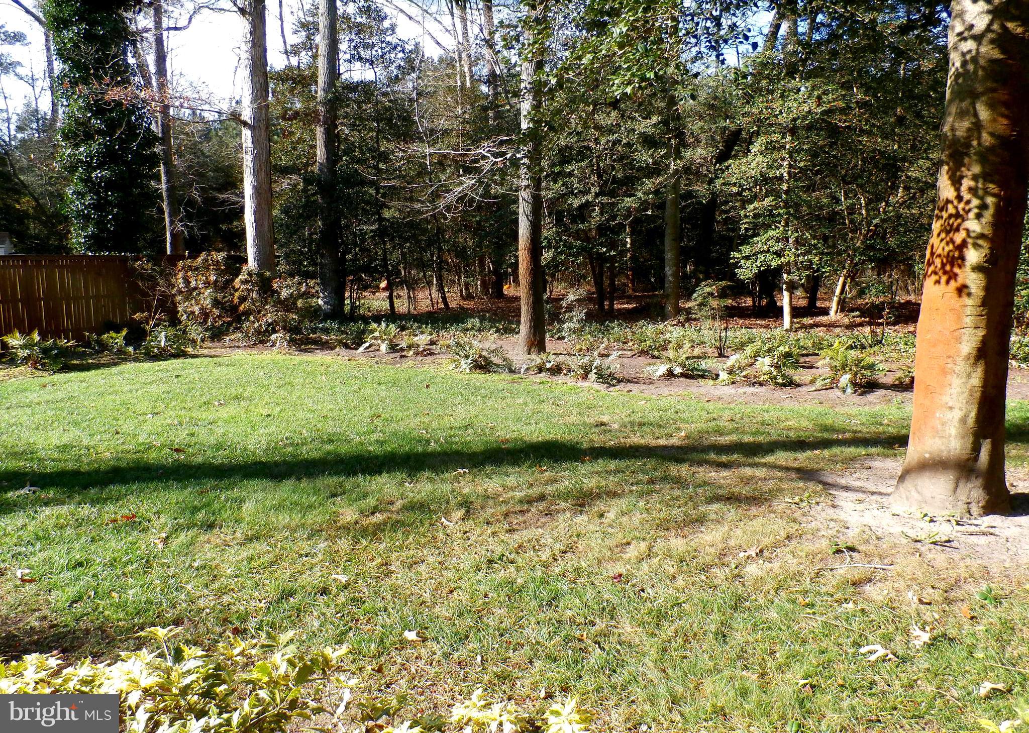 3940 Devonshire Drive Salisbury, MD 21804 - Photo 11 of 52