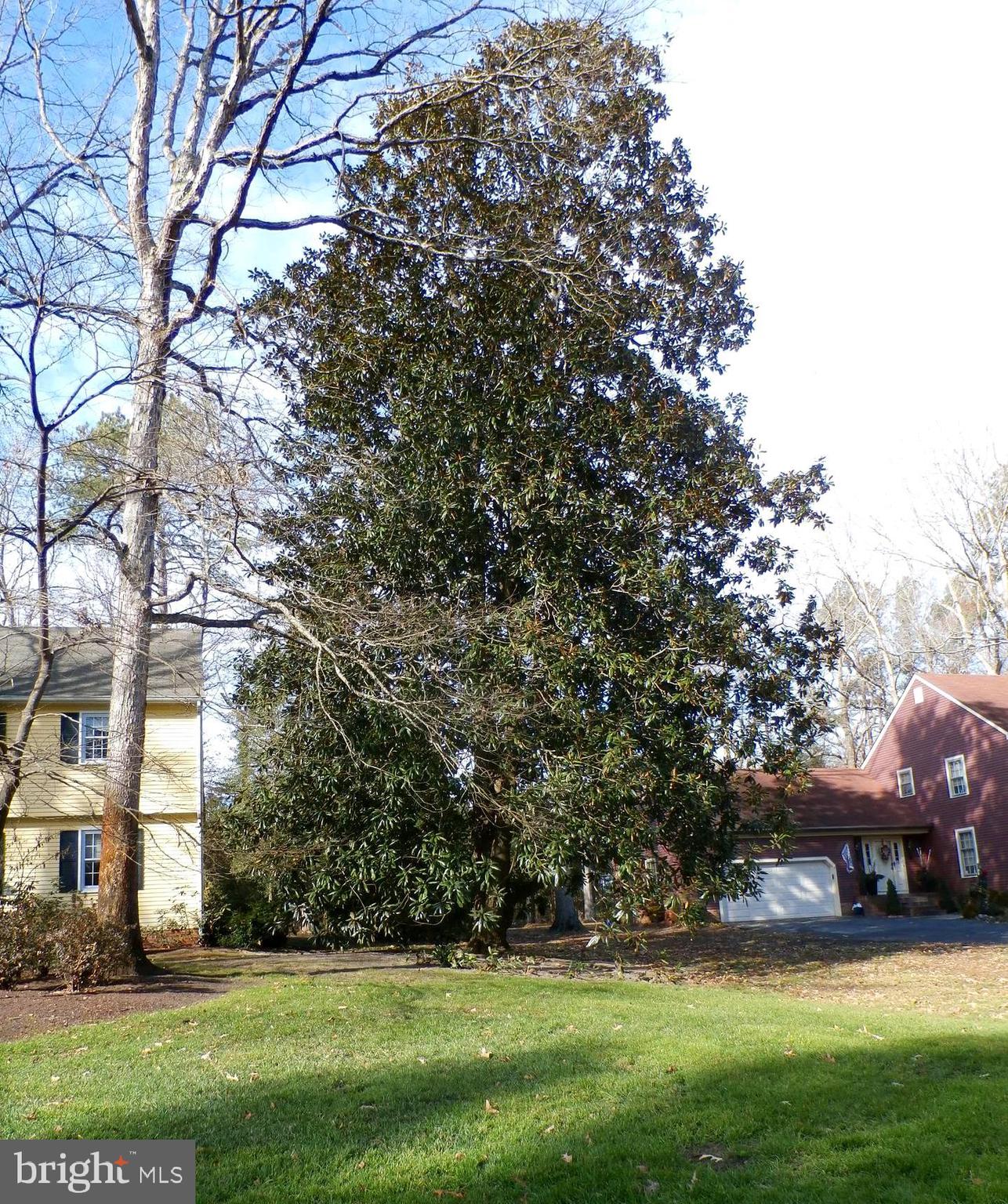 3940 Devonshire Drive Salisbury, MD 21804 - Photo 4 of 52