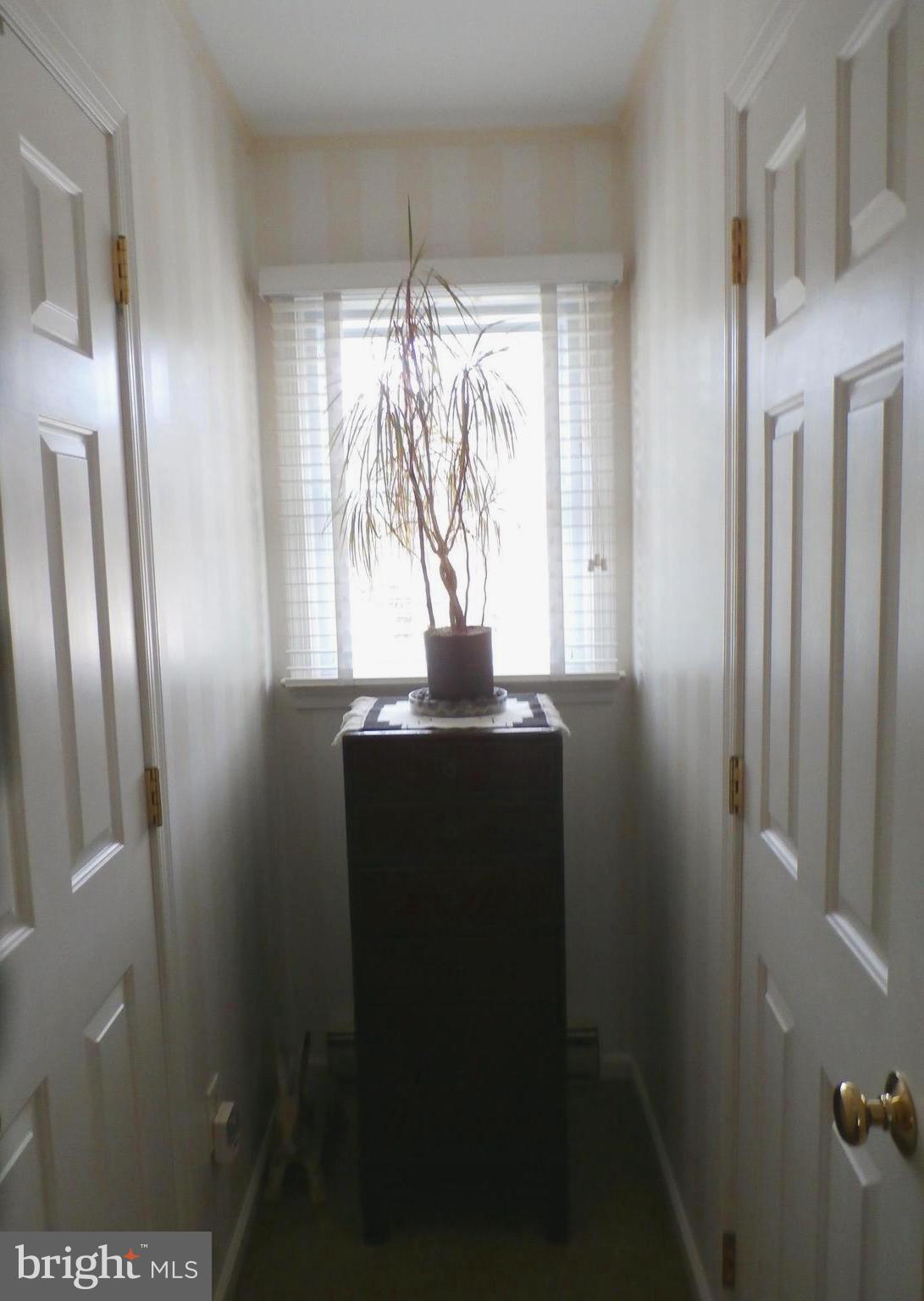 3940 Devonshire Drive Salisbury, MD 21804 - Photo 41 of 52