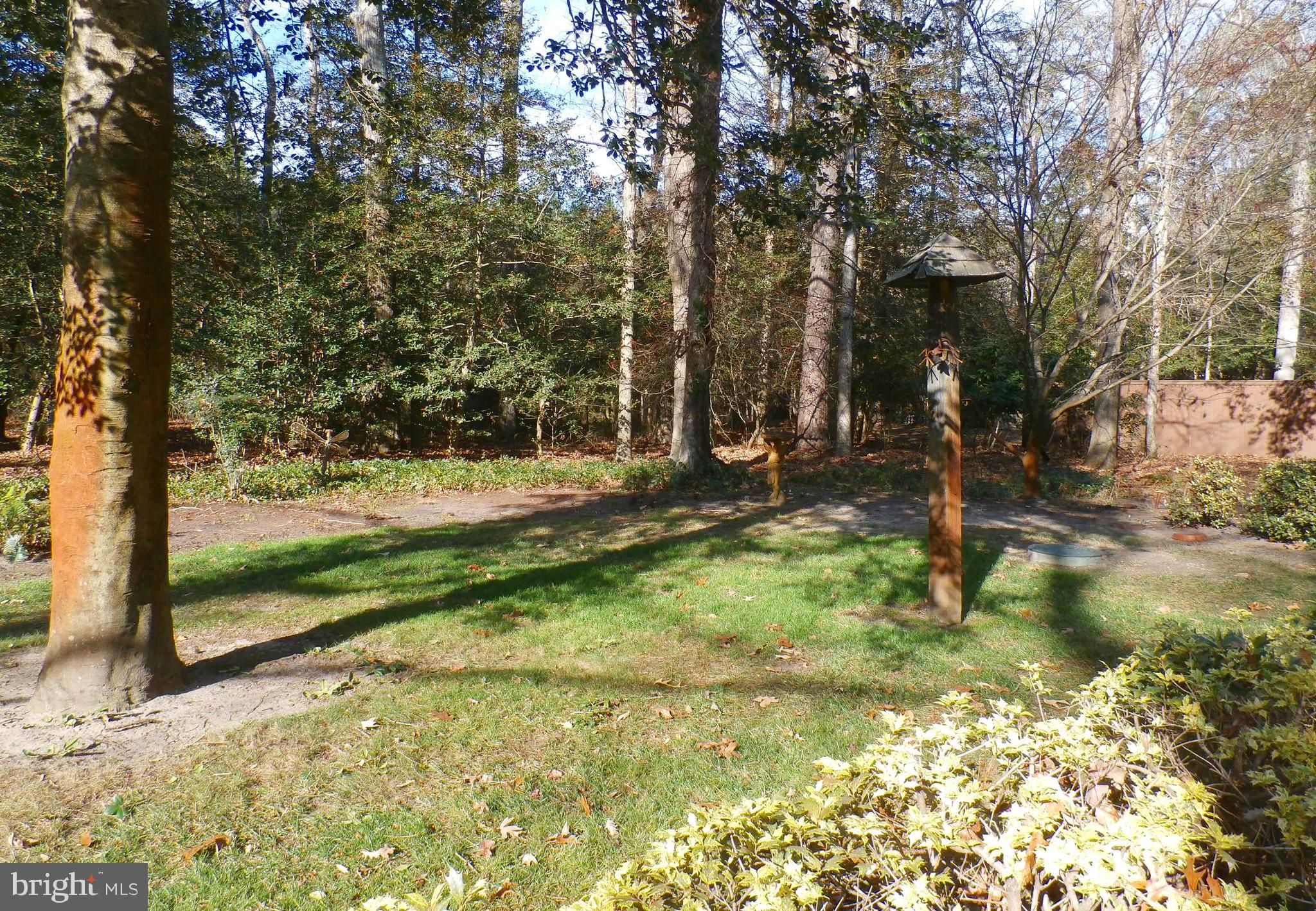 3940 Devonshire Drive Salisbury, MD 21804 - Photo 9 of 52