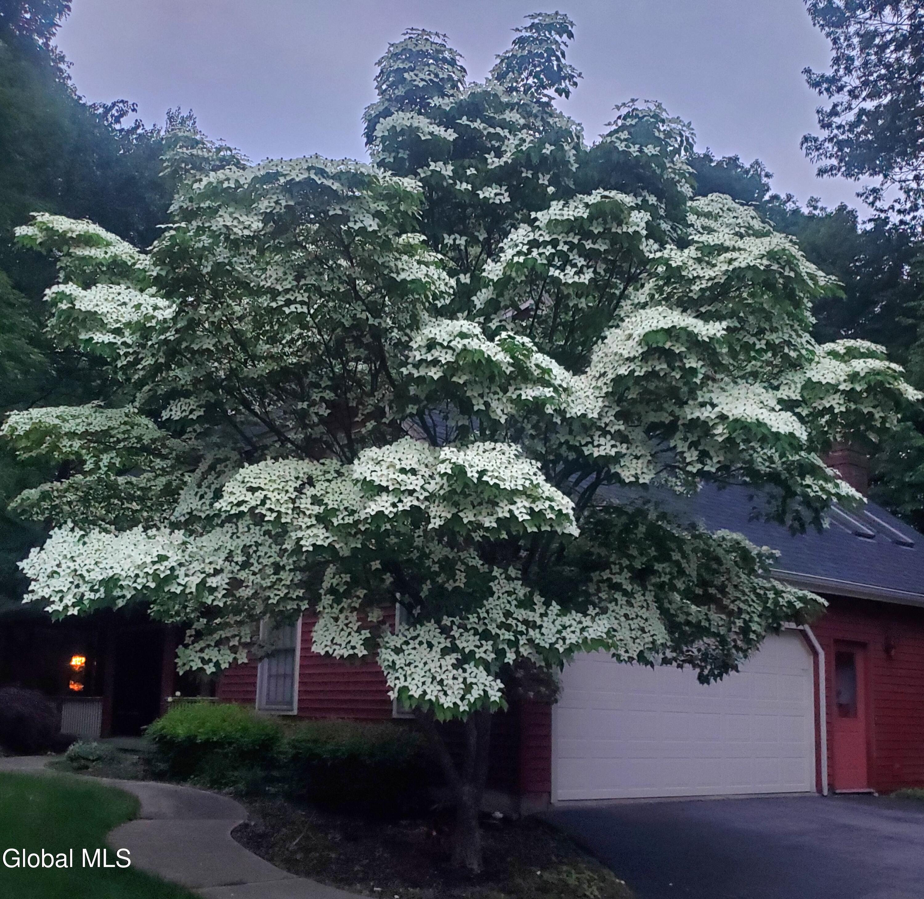 3 Buckingham Court Clifton Park, NY 12065 - Photo 10 of 49 20250607_204016