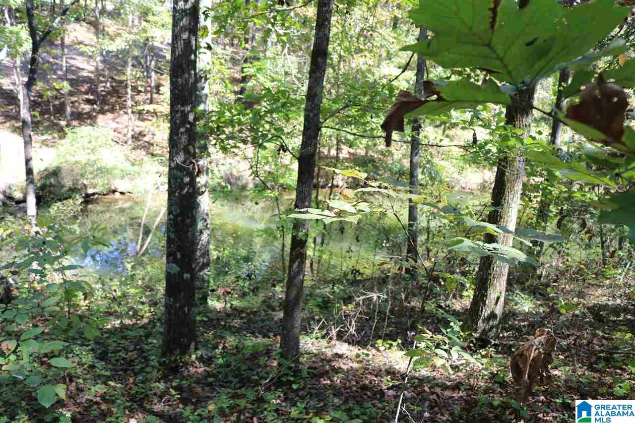 42 Fishers Way, Unit 42 Vincent, AL 35178 - Photo 1 of 4