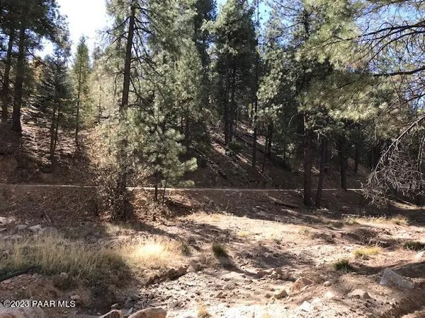 a view of covered with trees