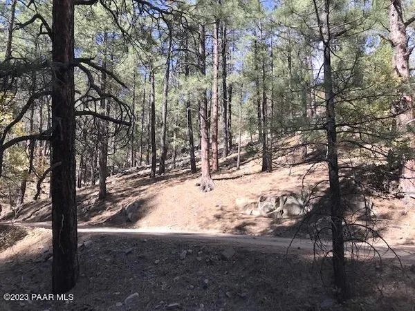 a view of snow on a yard