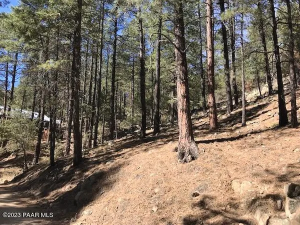 a view of outdoor space with trees
