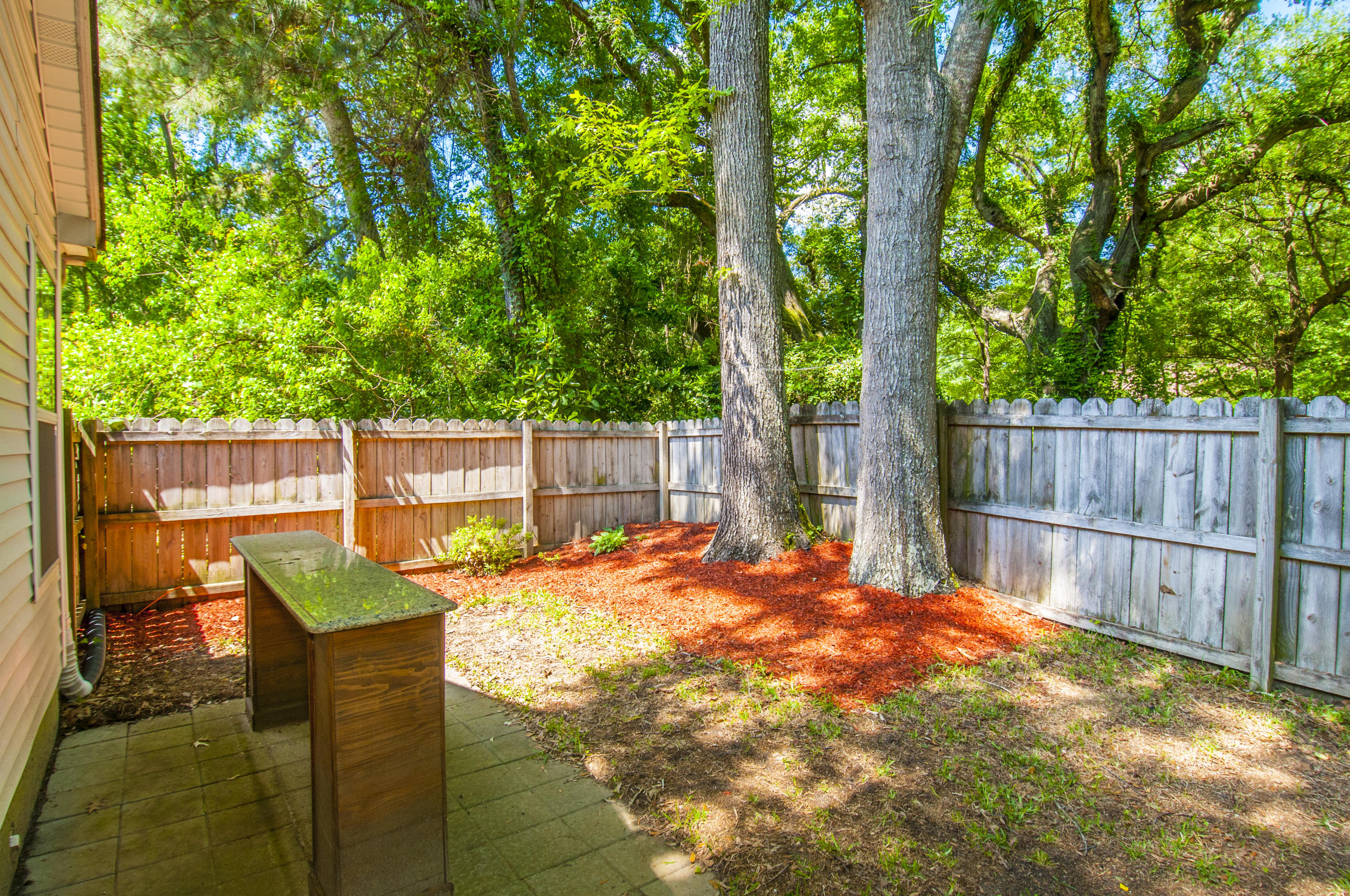 2441 Castlereagh Road Charleston, SC 29414 - Photo 14 of 15 Yard