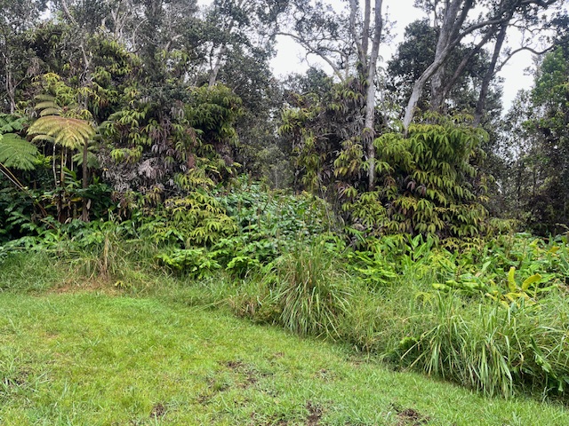 42 Lot Volcano, HI 96785 - Photo 2 of 6