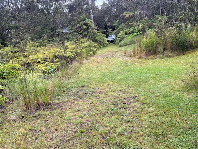 42 Lot Volcano, HI 96785 - Photo 3 of 6