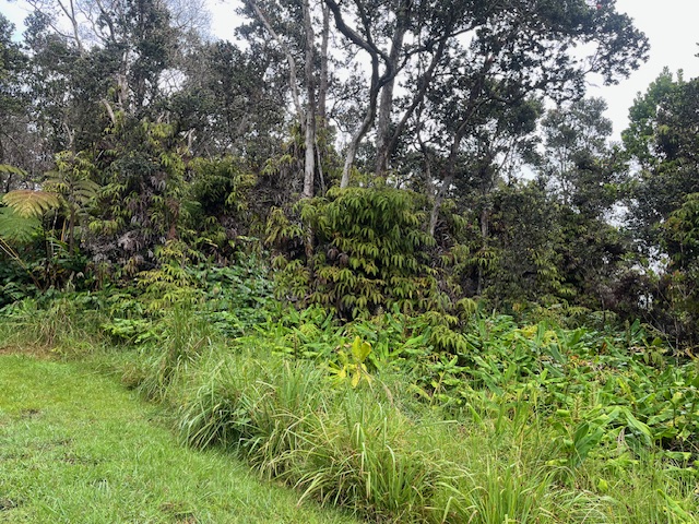 42 Lot Volcano, HI 96785 - Photo 4 of 6