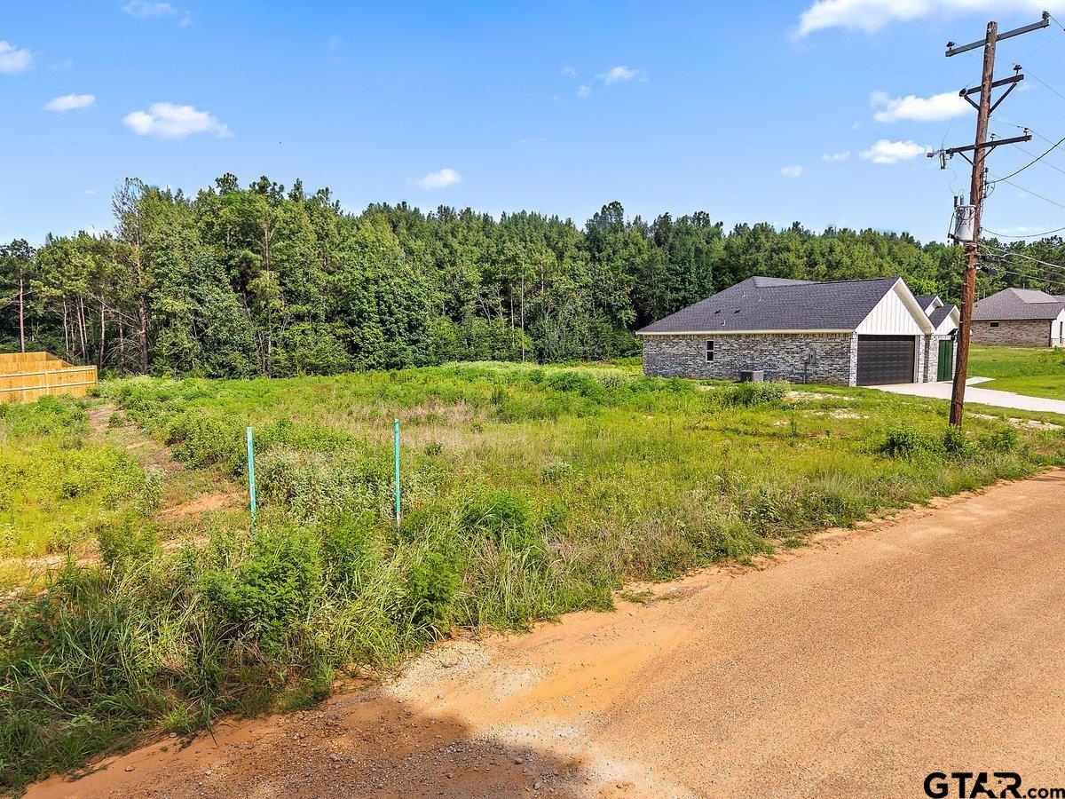 Lot 11 Ellis Street Rusk, TX 75785 - Photo 4 of 4