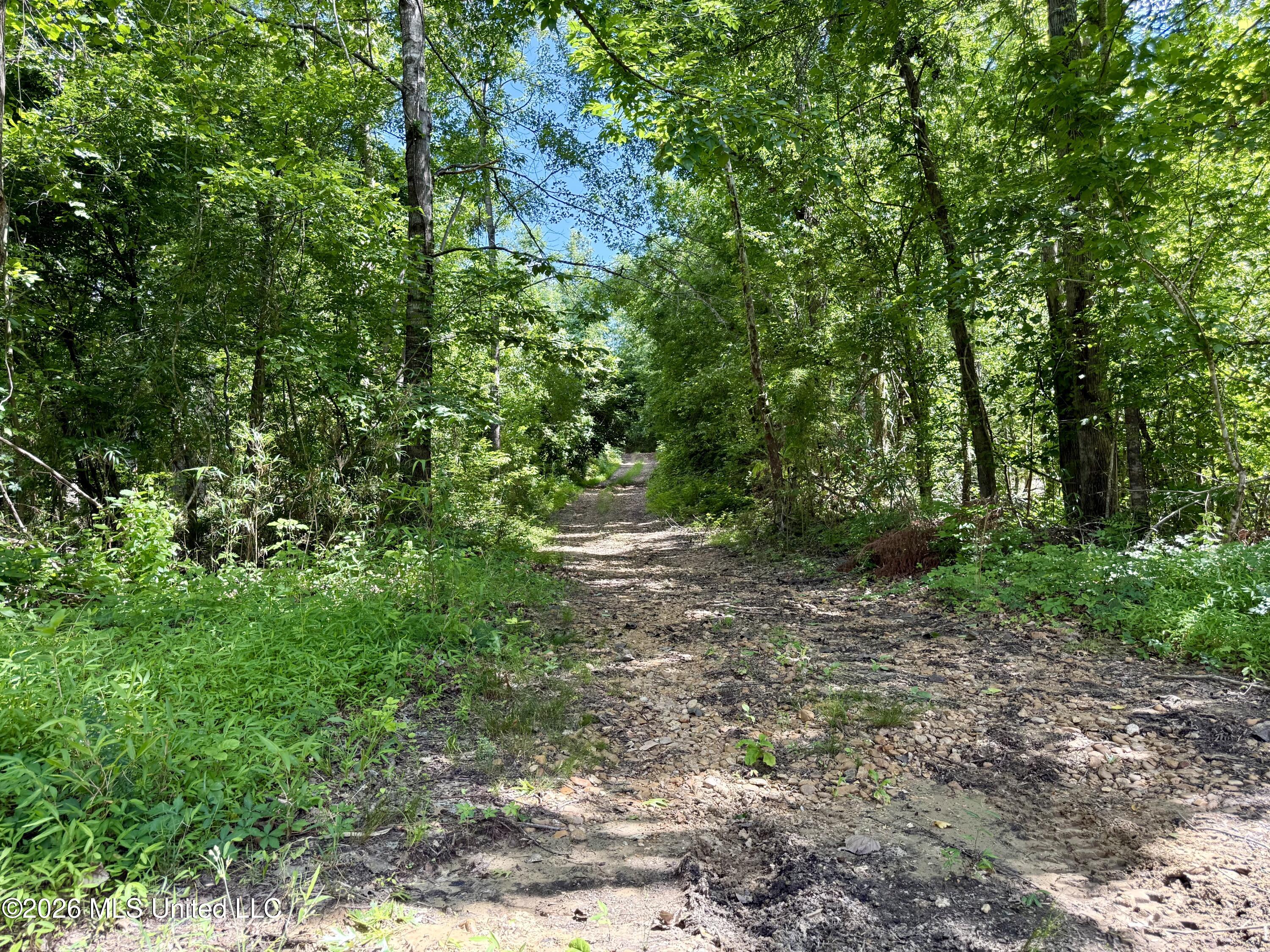 2900 Rockport Rd A Lexington, MS 39095 - Photo 17 of 59 Photo May 29 2026, 3 14 05 PM