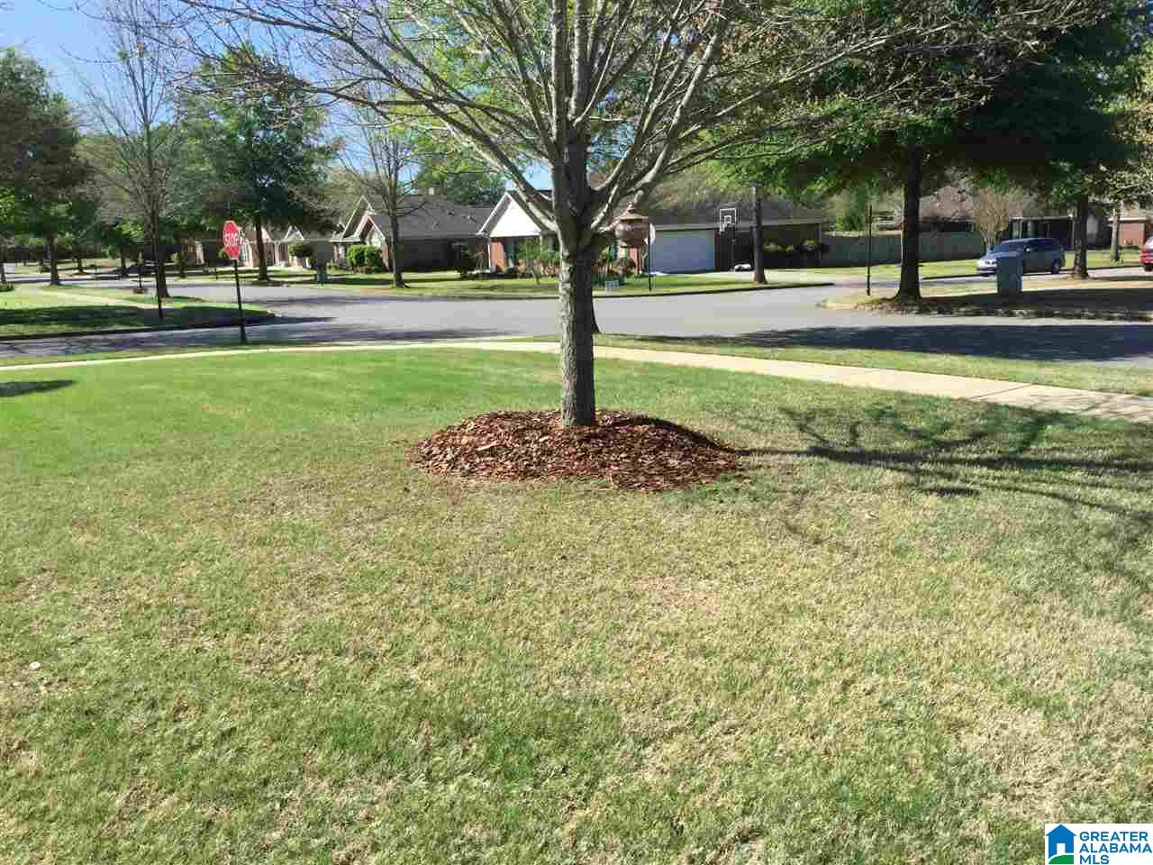 165 Silverstone Lane Alabaster, AL 35007 - Photo 30 of 31 Gallery Image 30