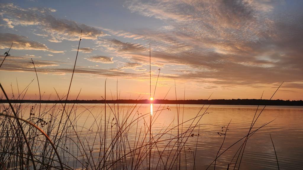 Tbd Logerquist Road Baileys Harbor, WI 54202 - Photo 1 of 38 Gallery Image 1