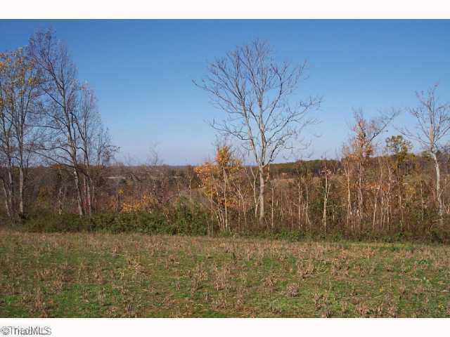 Xx Glenn Ferry Road Pfafftown, NC 27040 - Photo 2 of 4 Other.