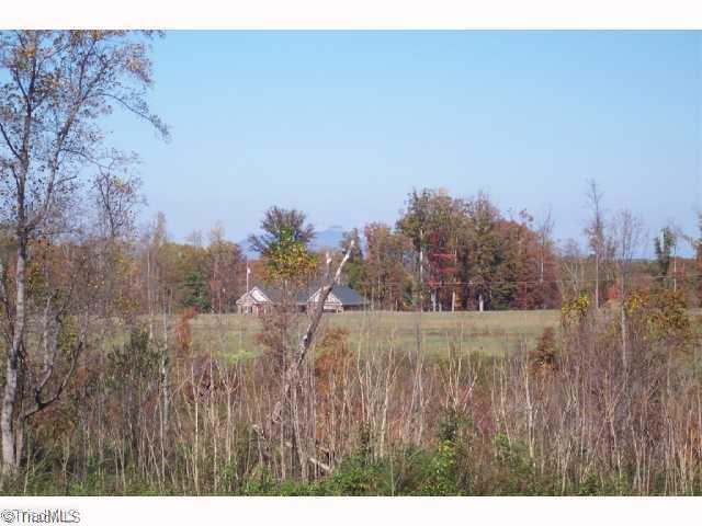 Xx Glenn Ferry Road Pfafftown, NC 27040 - Photo 3 of 4 Other.