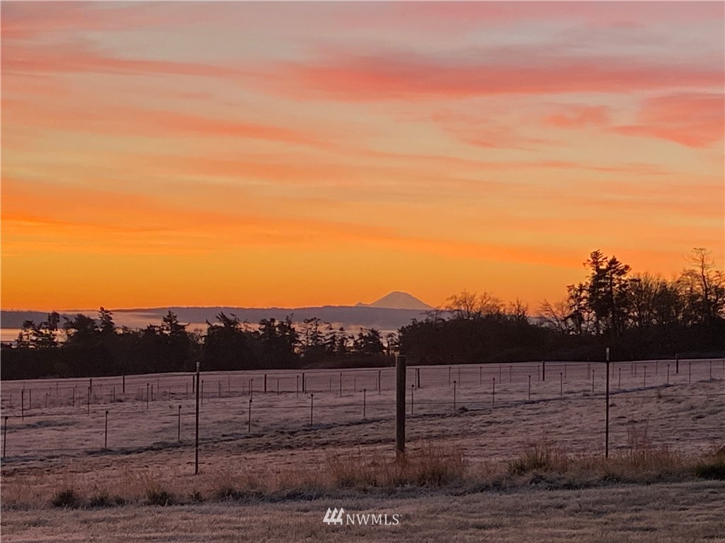 1053 Burchell Road Coupeville, WA 98239 - Photo 12 of 17 Gallery Image 12