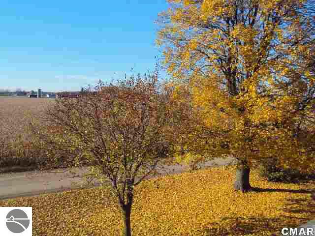 5141 South Baldwin Road Ithaca, MI 48847 - Photo 24 of 25 1769219-23.JPG