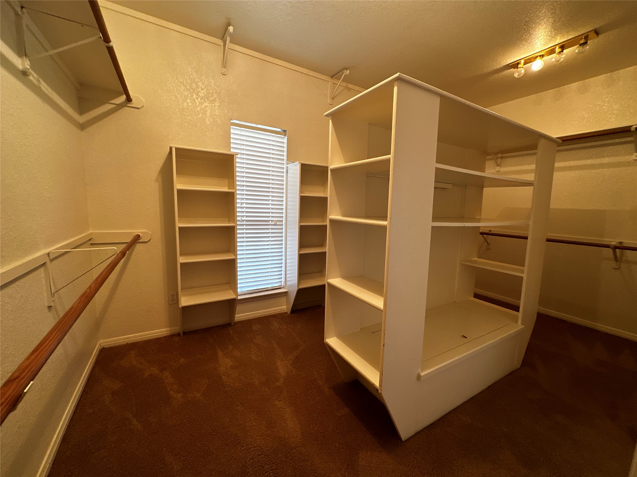 13615 Copperleaf Trail Manchaca, TX 78652 - Photo 27 of 39 Walk in closet featuring dark colored carpet