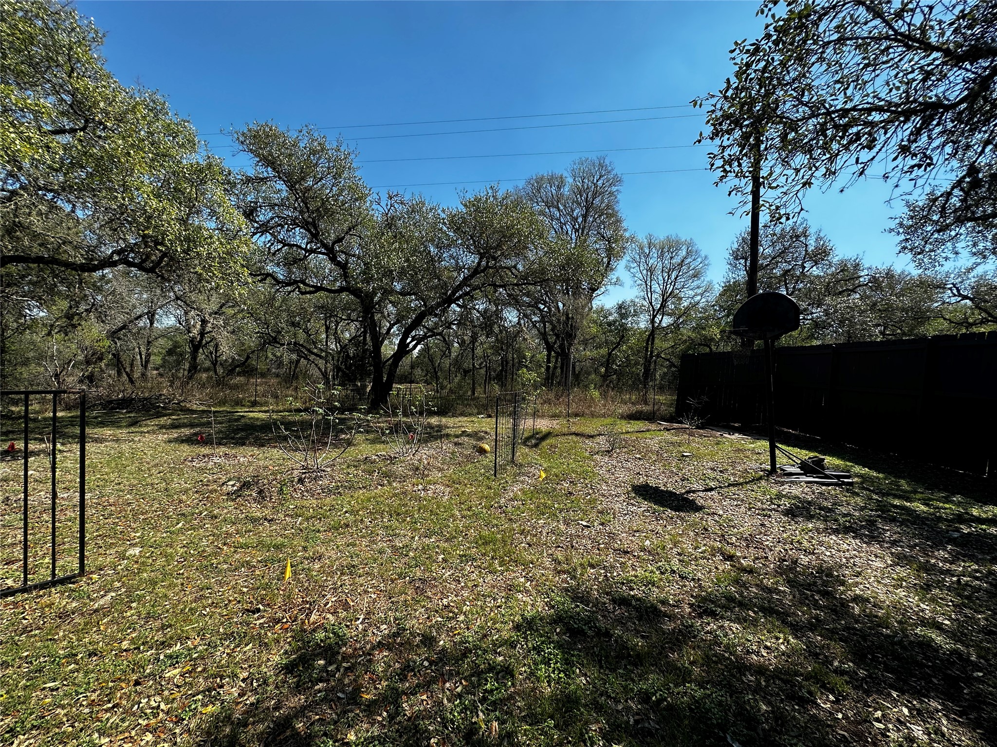 13615 Copperleaf Trail Manchaca, TX 78652 - Photo 29 of 39 View of yard