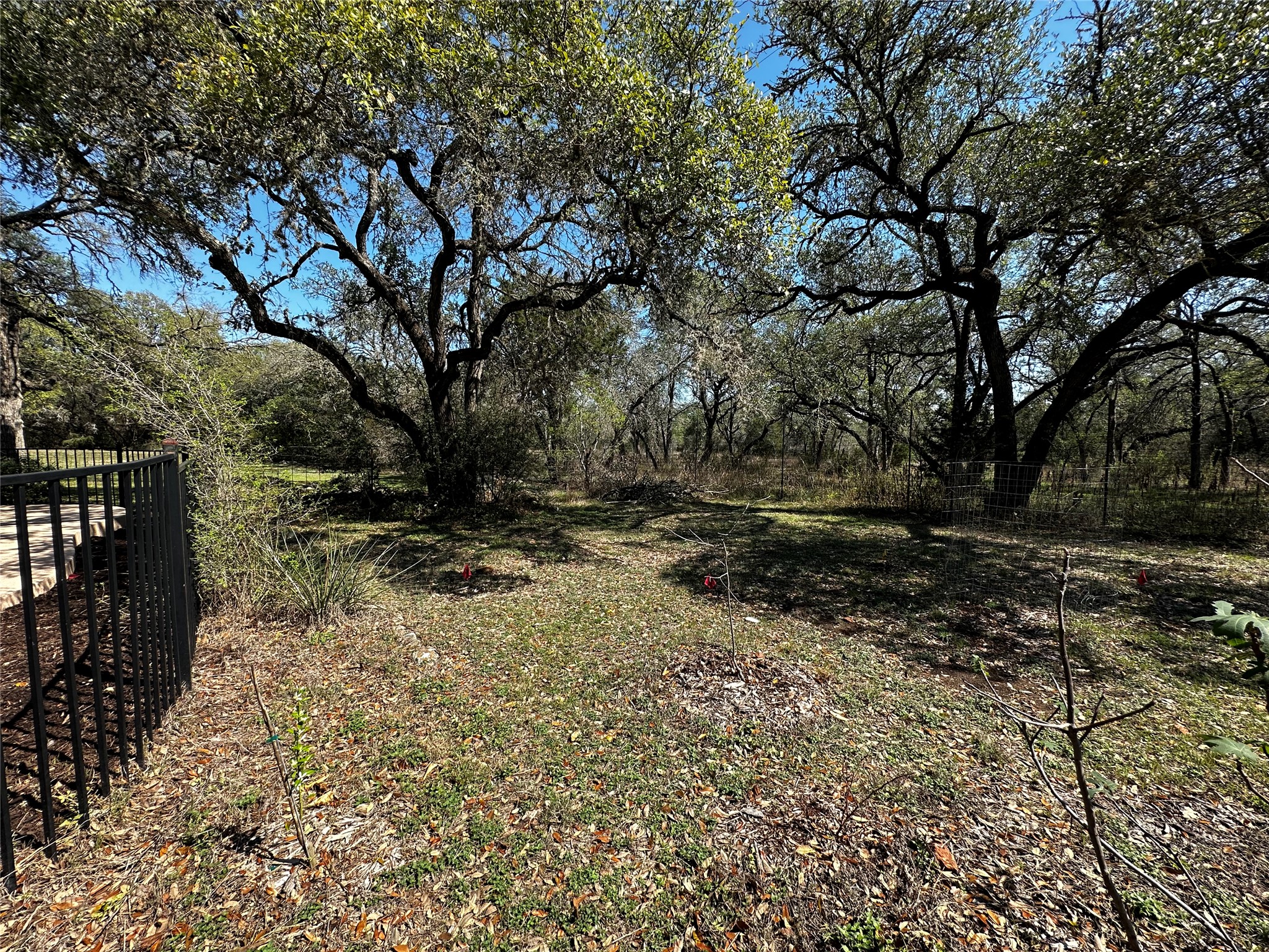 13615 Copperleaf Trail Manchaca, TX 78652 - Photo 30 of 39 View of yard