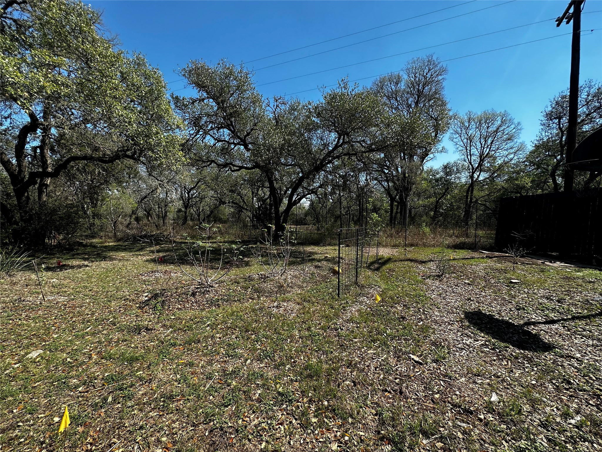 13615 Copperleaf Trail Manchaca, TX 78652 - Photo 37 of 39 View of yard