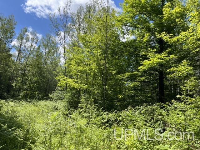 40-acres New DNR Road Crystal Falls, MI 49920 - Photo 39 of 46