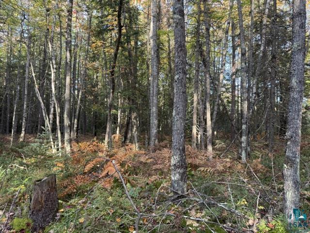 Xxx Brule River Road Brule, WI 54820 - Photo 2 of 18 Gallery Image 2
