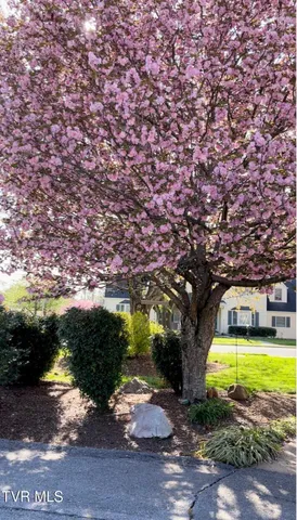 $379,900 | 235 West F Street, Elizabethton, TN 37643