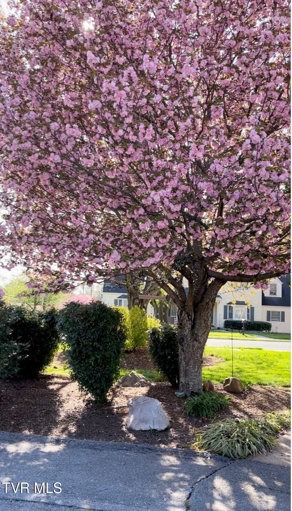 235 West F Street Elizabethton, TN 37643 - Photo 37 of 39 IMG_1507