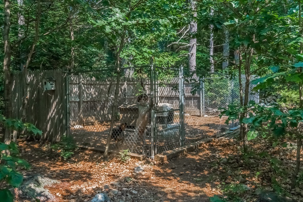 3 Rabbit Run Londonderry, NH 03053 - Photo 29 of 29 Gallery Image 29