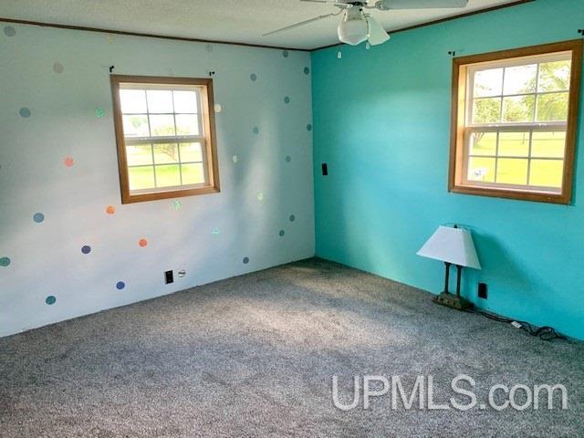 N13756 Co Road Wilson, MI 49896 - Photo 6 of 15