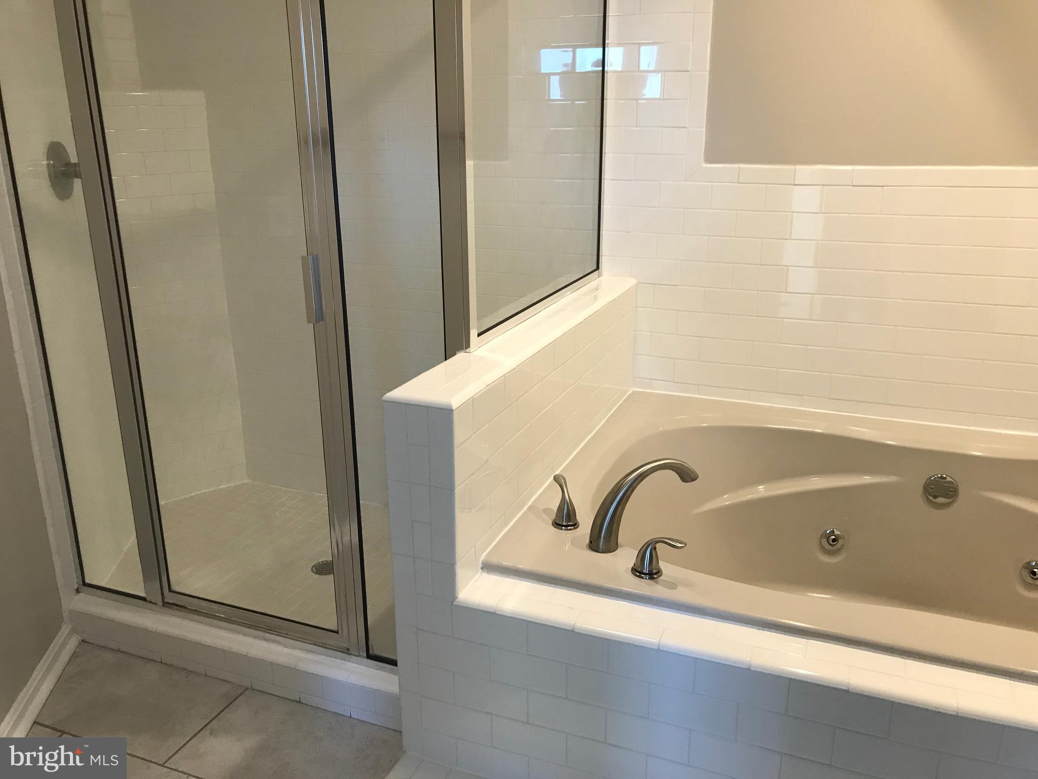 23562 Cedar Ridge Road Rapidan, VA 22733 - Photo 21 of 34 Tub and Shower in Master Bath!