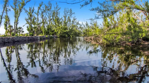 a view of a lake with a tree