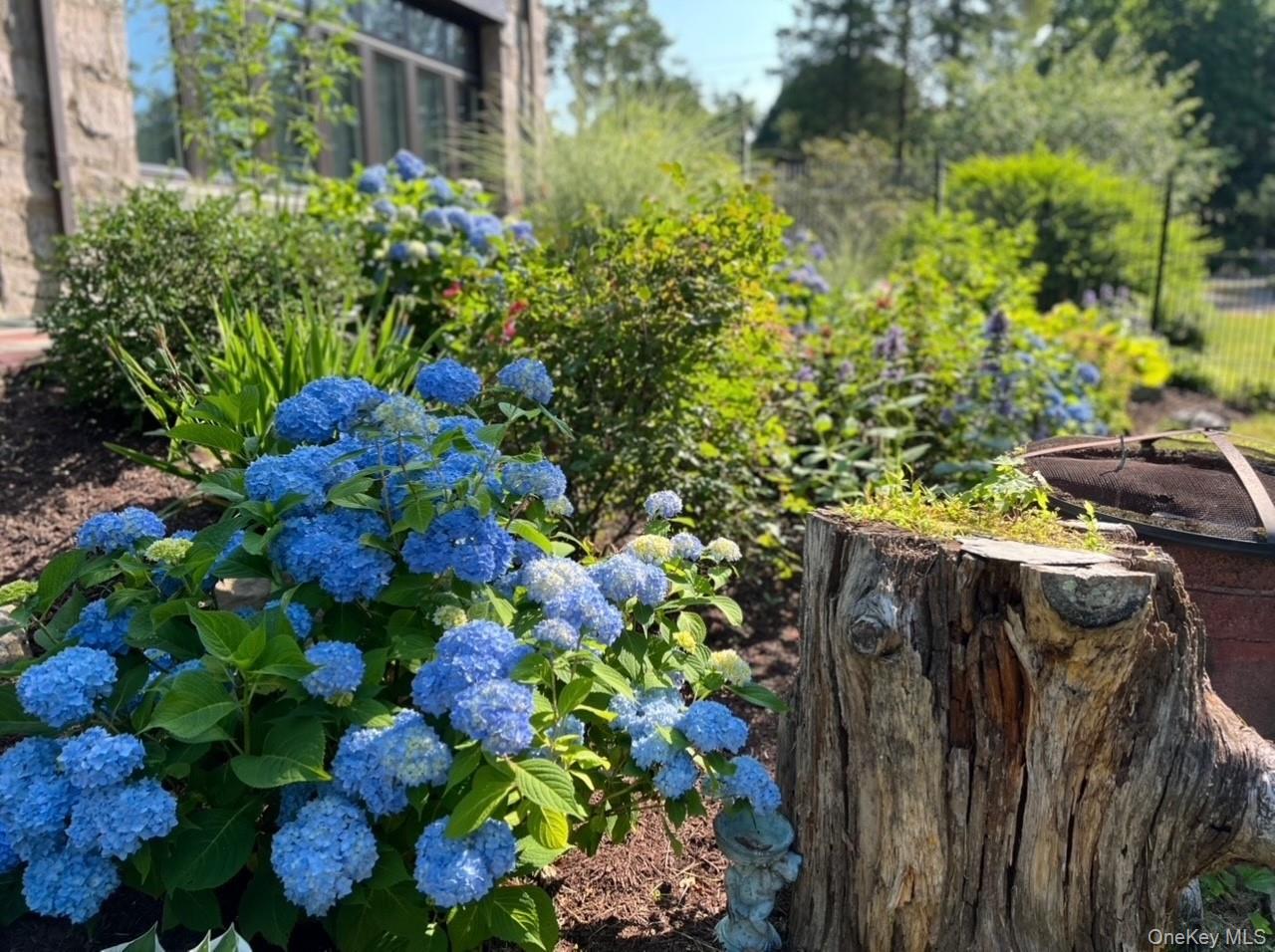 66 Mamaroneck Road Scarsdale, NY 10583 - Photo 40 of 47 Stunning perennial gardens enhance this amazing property.