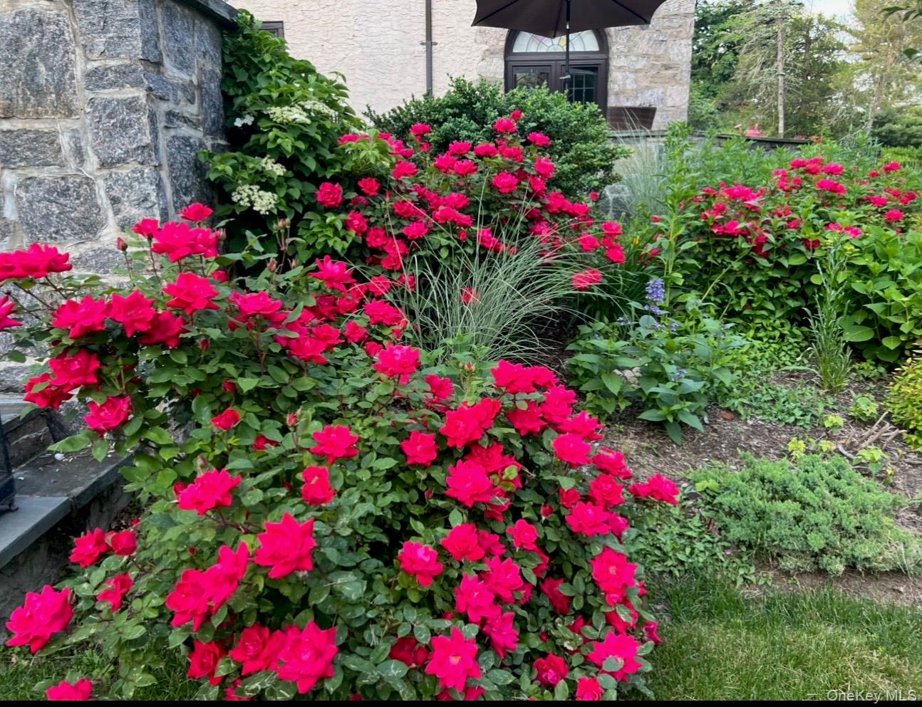 66 Mamaroneck Road Scarsdale, NY 10583 - Photo 43 of 47 One more photo capturing the lovely plantings.