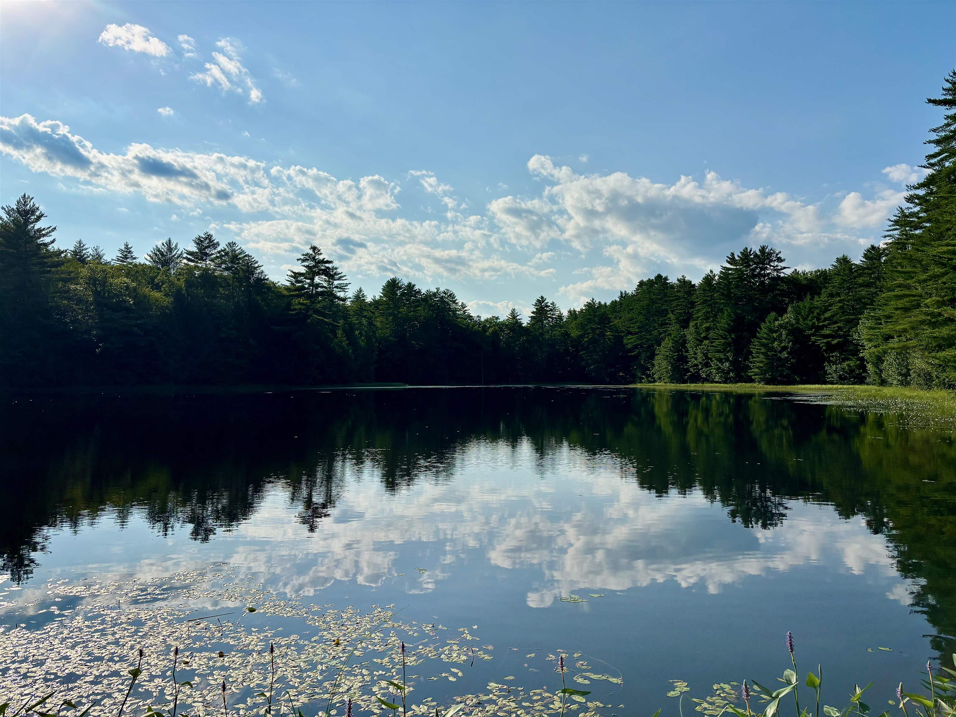 0 Burnt Hill Road Warner, NH 03278 - Photo 2 of 2