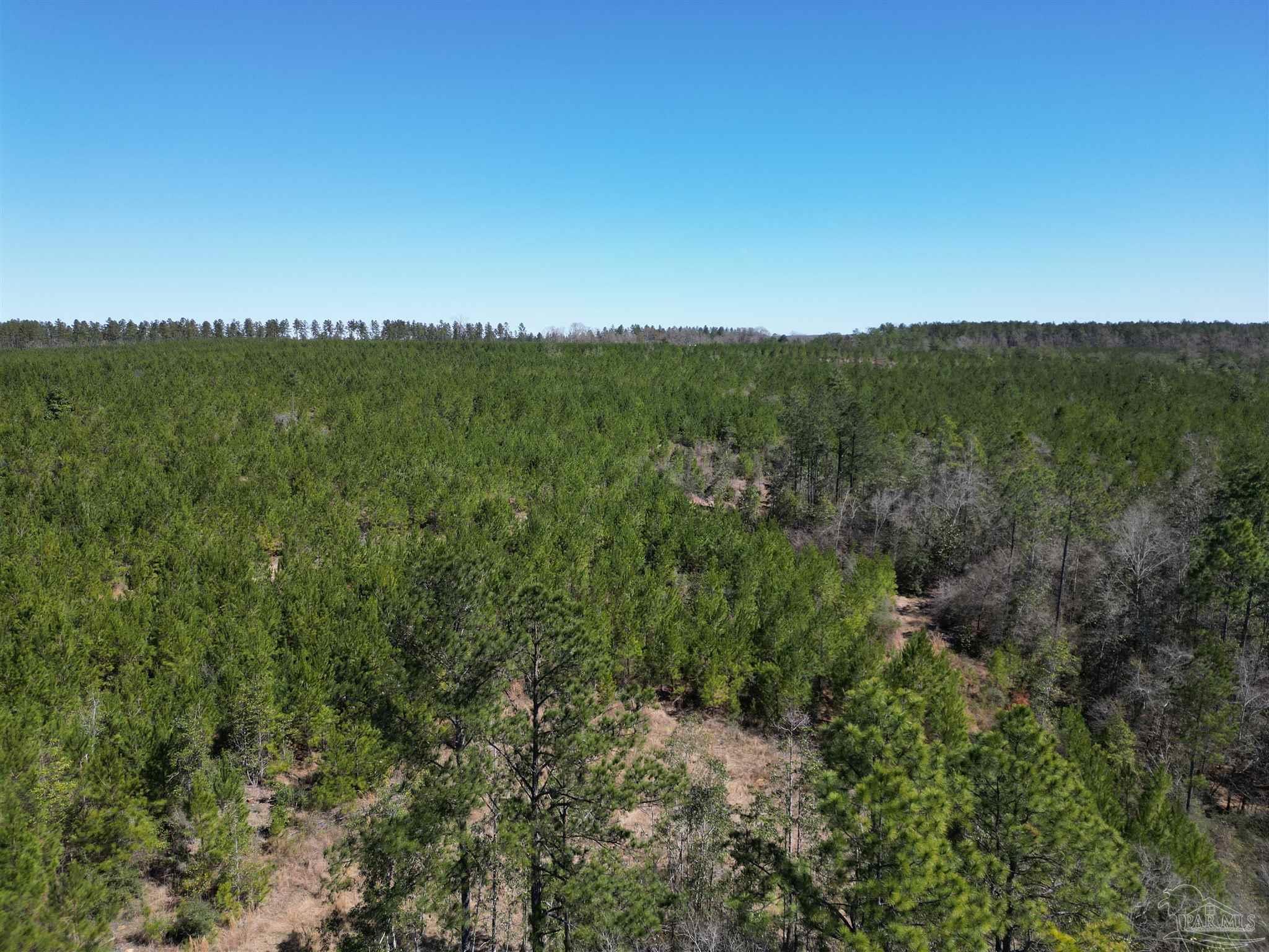 10 Robinsonville Road Atmore, AL 36502 - Photo 13 of 25 a view of a lush green space with sea