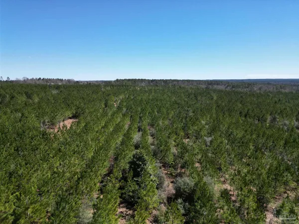 a view of a green field