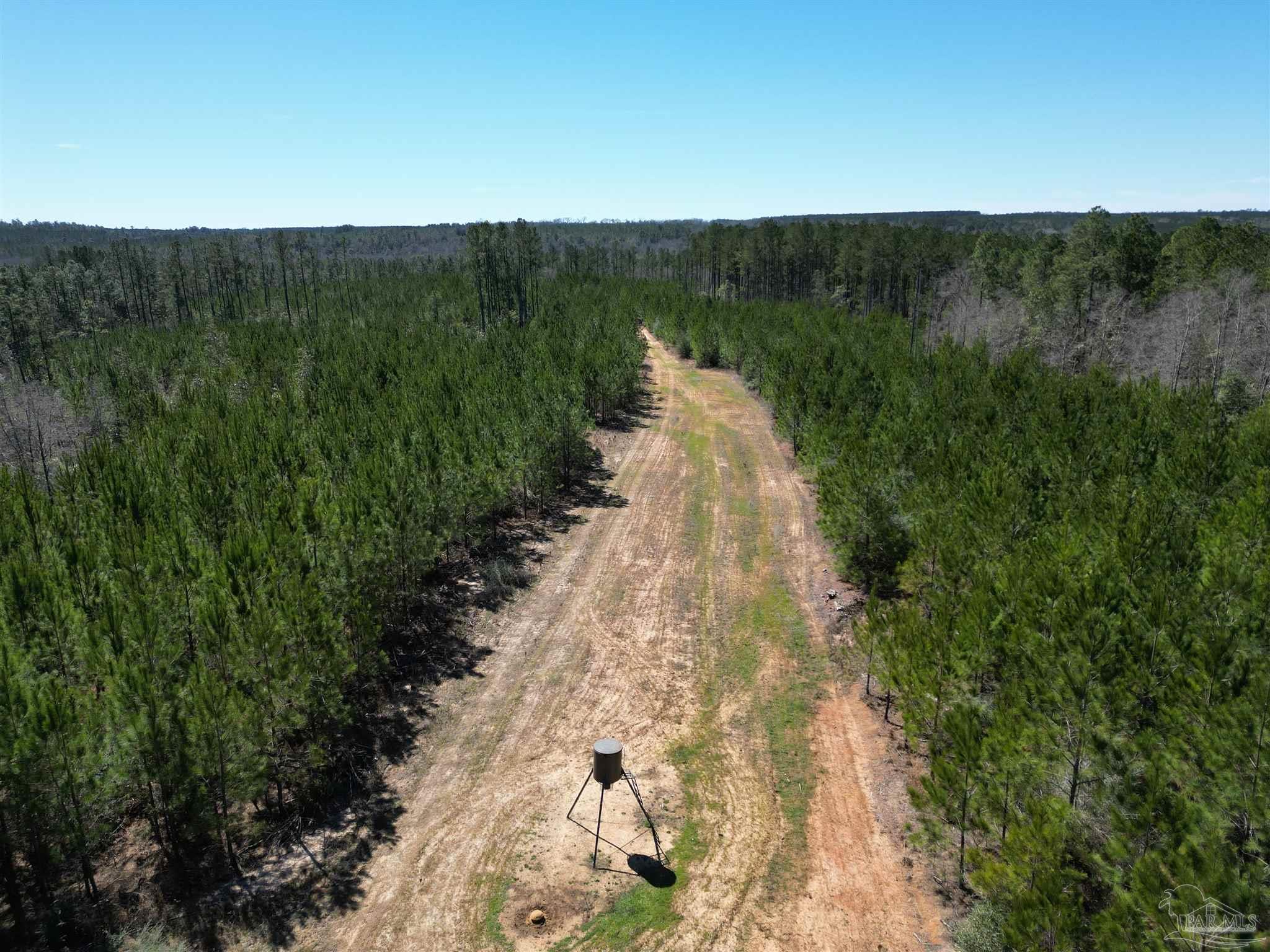10 Robinsonville Road Atmore, AL 36502 - Photo 6 of 25 a view of a lake with a mountain in the background