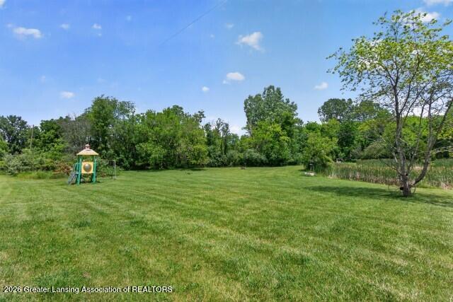 3719 South Williams Road Stockbridge, MI 49285 - Photo 33 of 47 Yard